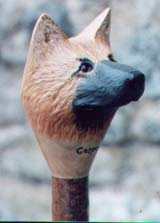 GSD, long-haired german shepherd dog