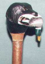 Labrador Carrying Duck